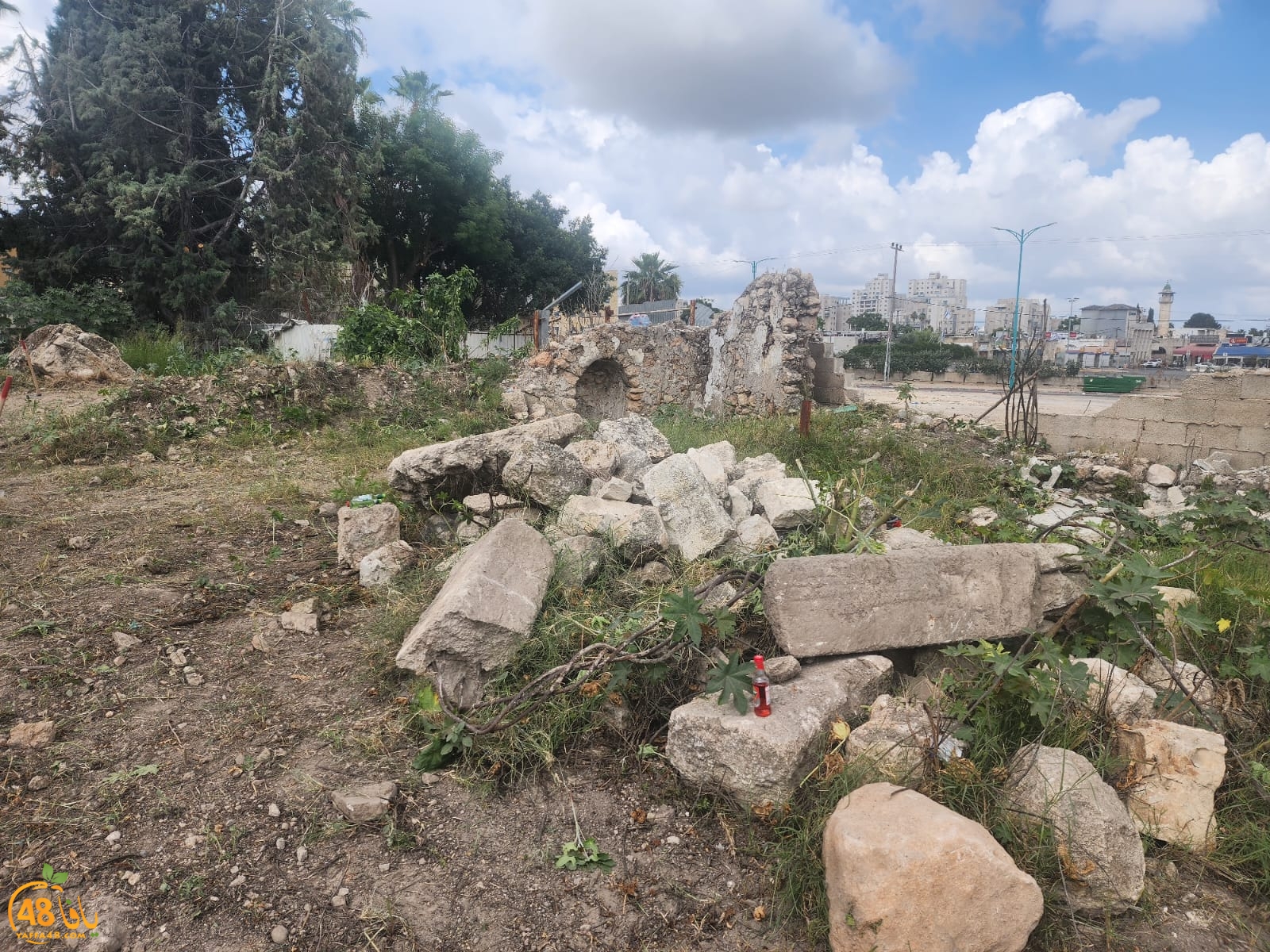 WhatsApp Image 2023-05-20 at 9.49.36 AM.jpeg